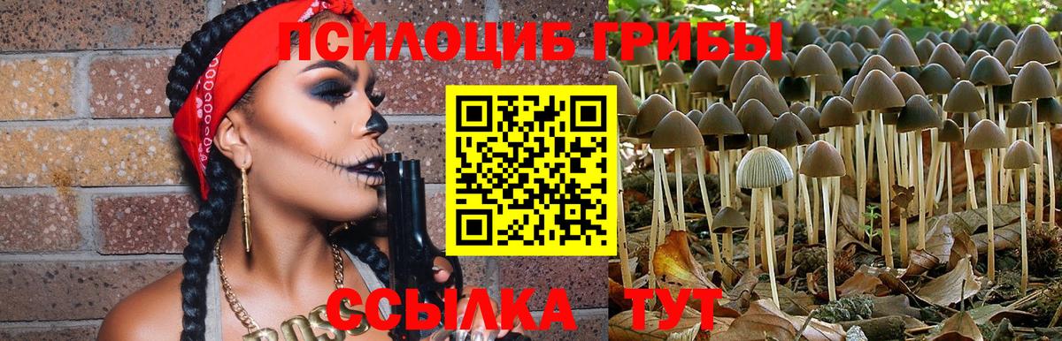 Псилоцибиновые грибы Psilocybe Лангепас